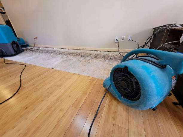 Professional Emergency Water Damage technician working in Pembroke, ME